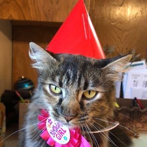 Meet your Posher, Kathryn